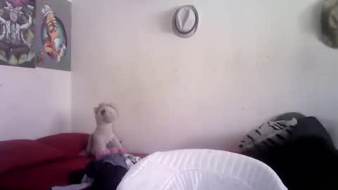 sammy_mcklain online show from March 1, 2026, 3:36 pm