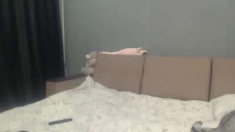 sandra_smith3007 online show from March 1, 2026, 11:01 am