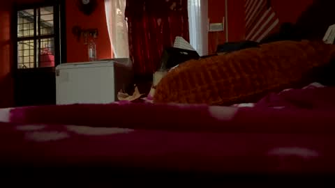 sans_976802 online show from February 21, 2025, 12:05 am