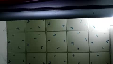 Snapshot of santichai561323 chatting on February 19, 2025, 2:01 am santichai561323 online show from February 19, 2025, 2:01 am