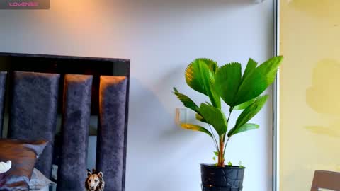 Santiago Seans online show from February 12, 2026, 1:28 pm