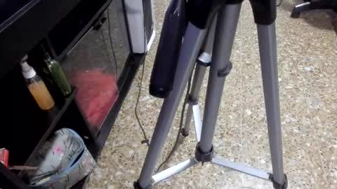 Snapshot of sara_salgado chatting on February 11, 2026, 11:04 am sara_salgado online show from February 11, 2026, 11:04 am