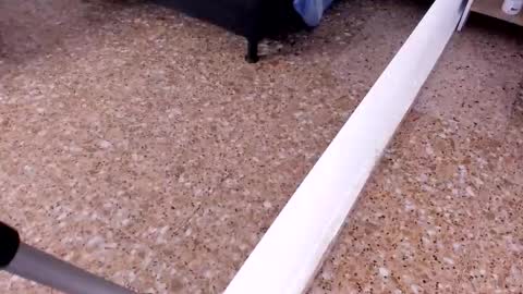 Snapshot of sara_salgado chatting on February 22, 2026, 11:09 am sara_salgado online show from February 22, 2026, 11:09 am