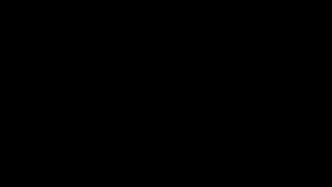 sarahphyllis online show from January 5, 2025, 7:49 pm