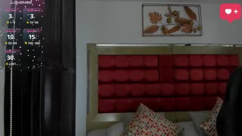      online show from February 11, 2026, 12:15 am