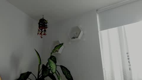 Saray  online show from February 6, 2026, 10:46 pm