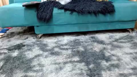 sarita_klein online show from November 8, 2025, 3:34 pm