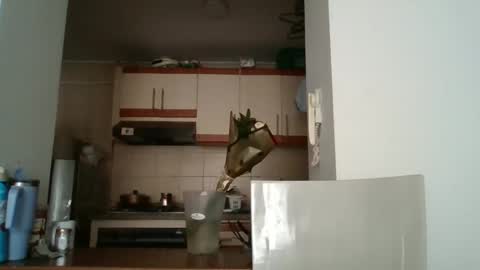 sarita_start online show from May 11, 2026, 3:40 pm