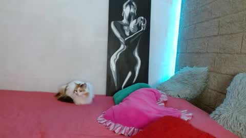 Sativa online show from December 13, 2024, 4:05 pm