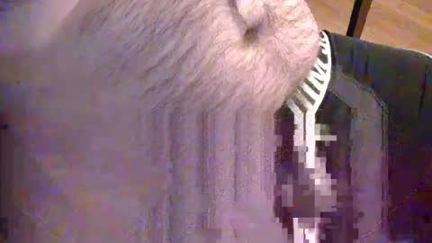 sato58264 online show from May 18, 2026, 6:36 pm