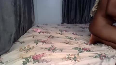 pety online show from April 20, 2026, 6:31 pm