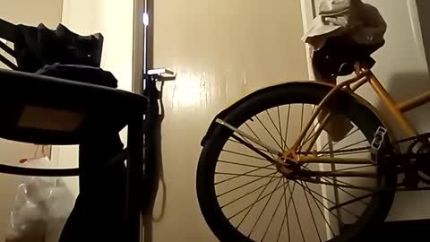 Snapshot of saucybear666 chatting on January 2, 2025, 10:58 am SnowBunny online show from January 2, 2025, 10:58 am