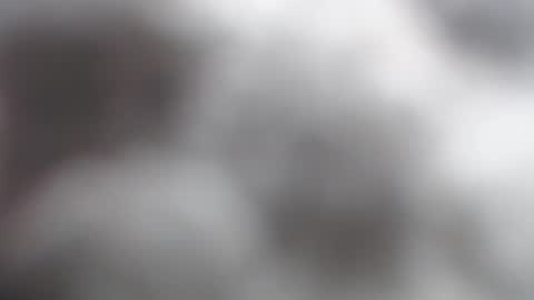 Snapshot of savagebarbie01 chatting on November 2, 2025, 10:06 am savagebarbie01 online show from November 2, 2025, 10:06 am