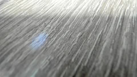 sayo_mao18 online show from March 17, 2026, 1:54 am