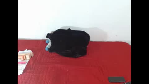 Snapshot of scarletfox__03 chatting on February 12, 2026, 7:31 pm Scarletfox Fox online show from February 12, 2026, 7:31 pm