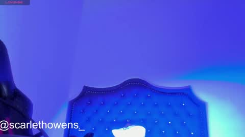    online show from December 29, 2024, 9:50 am