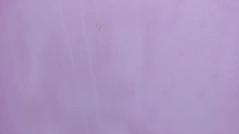 Scarlett 3 online show from February 28, 2026, 3:18 am