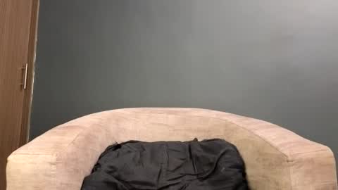 scarlett_is_here online show from April 19, 2026, 1:38 am