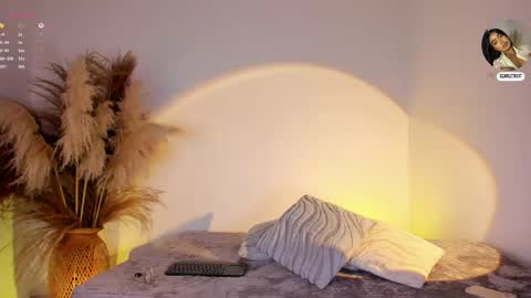 Snapshot of scarlett_keitt chatting on June 3, 2026, 2:33 pm scarlet online show from June 3, 2026, 2:33 pm