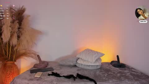 Snapshot of scarlett_keitt chatting on June 6, 2026, 11:48 am scarlet online show from June 6, 2026, 11:48 am