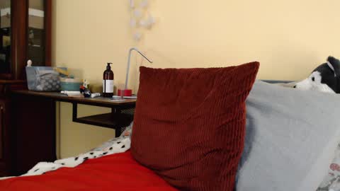 Scarlett online show from January 8, 2025, 4:00 pm