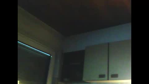 schnibschnab online show from February 9, 2026, 11:47 am