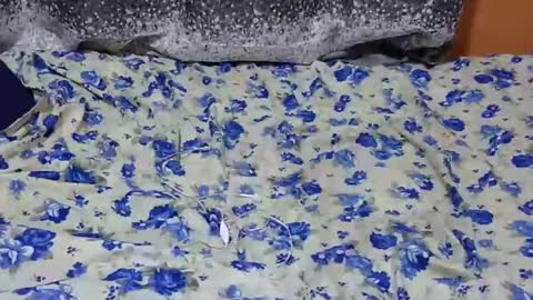 Snapshot of scorviaamanda254 chatting on January 27, 2025, 7:03 pm Its Lilly online show from January 27, 2025, 7:03 pm