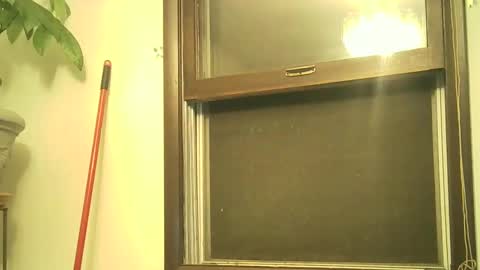 scottpbi52 online show from September 17, 2025, 12:56 am