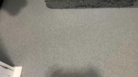 scottyc48 online show from October 5, 2025, 2:04 pm