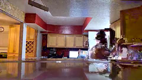 screwnutandbolte online show from December 5, 2025, 10:35 am