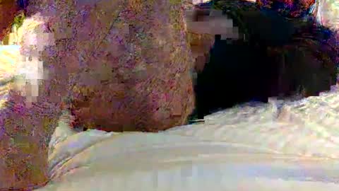 dick online show from February 1, 2025, 12:16 pm