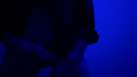 SeanWadGodDamn online show from October 13, 2025, 5:40 am