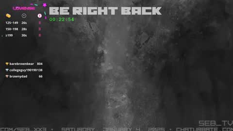 Snapshot of seb_tv chatting on January 4, 2025, 11:59 pm Sebastian online show from January 4, 2025, 11:59 pm