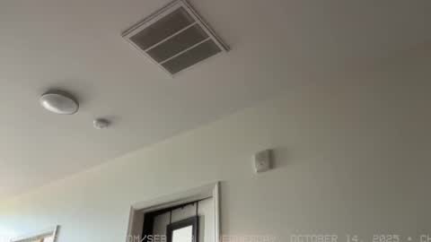 Snapshot of seb_tv chatting on October 15, 2025, 6:08 pm Sebastian online show from October 15, 2025, 6:08 pm