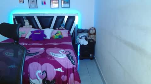 Snapshot of sebasxxl12 chatting on February 26, 2026, 10:31 pm Sebas online show from February 26, 2026, 10:31 pm