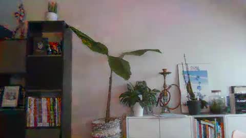 sebix9206 online show from February 13, 2025, 8:27 am