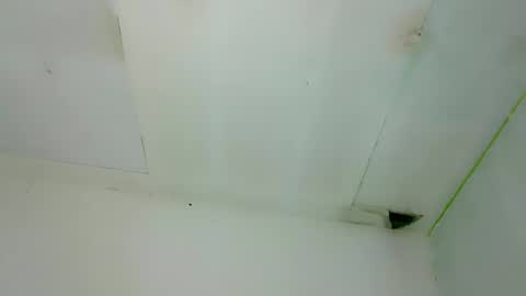 seducive_allea online show from December 20, 2025, 7:04 am