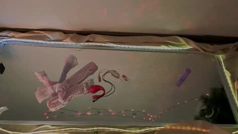 Mali online show from January 15, 2026, 9:58 am