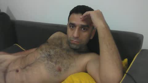 Snapshot of sedulo chatting on January 11, 2025, 9:36 pm seyfo online show from January 11, 2025, 9:36 pm