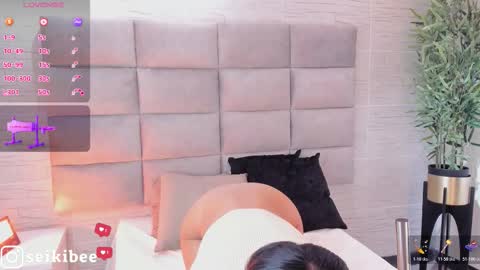 Snapshot of seikibee chatting on February 21, 2026, 4:24 am seikibee online show from February 21, 2026, 4:24 am