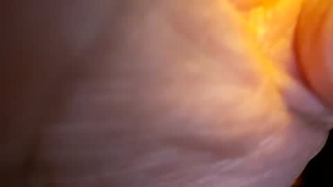 Snapshot of senor49509 chatting on November 27, 2025, 2:02 am senor49509 online show from November 27, 2025, 2:02 am