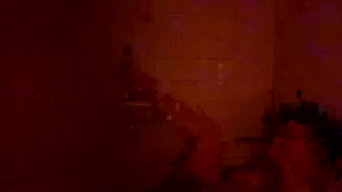 Tara online show from December 25, 2024, 2:25 am