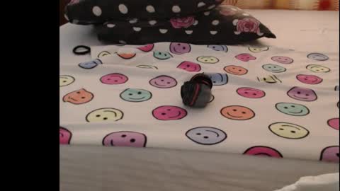 Anne online show from October 25, 2025, 5:04 am