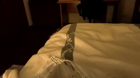 sevenorder online show from January 20, 2025, 5:04 am