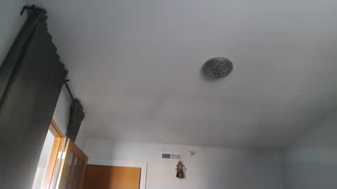 Snapshot of sexbrute chatting on January 25, 2025, 5:51 pm sexbrute online show from January 25, 2025, 5:51 pm