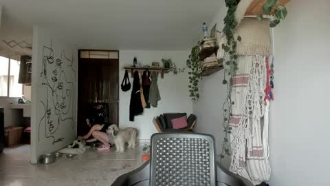         online show from March 17, 2026, 2:53 pm