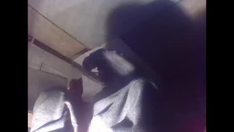 sexy15802 online show from January 4, 2025, 7:03 am