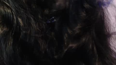 Snapshot of sexy_impact chatting on January 15, 2025, 3:33 am    online show from January 15, 2025, 3:33 am