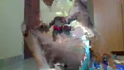 Sexybilha483 online show from February 22, 2025, 11:57 am