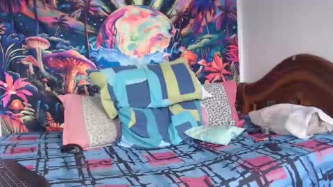 Mike online show from January 14, 2026, 4:56 pm